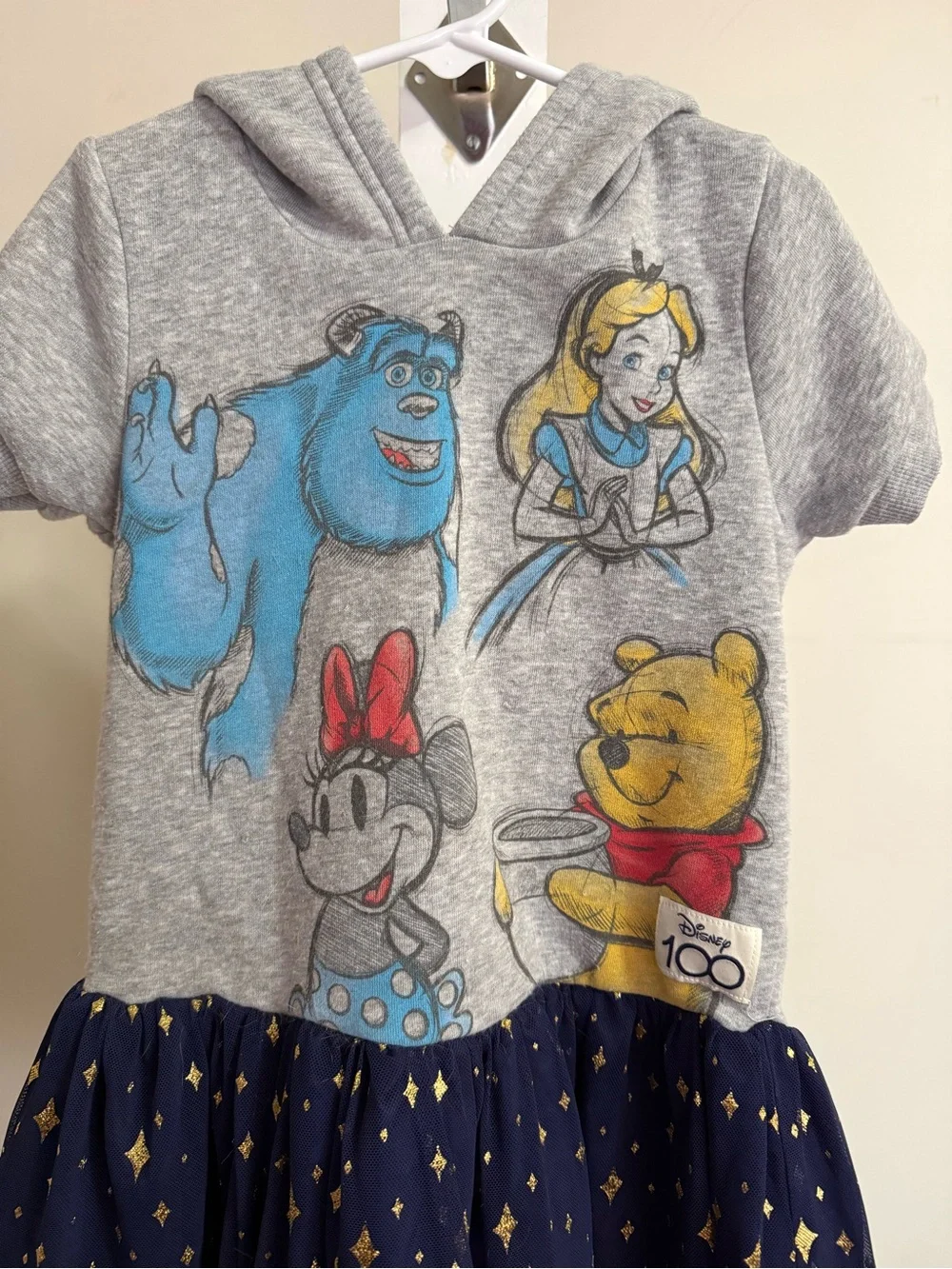 Disney 100th Anniversary Dress